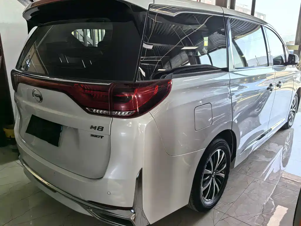 GAC Trumpchi M8 2023 — фото 6