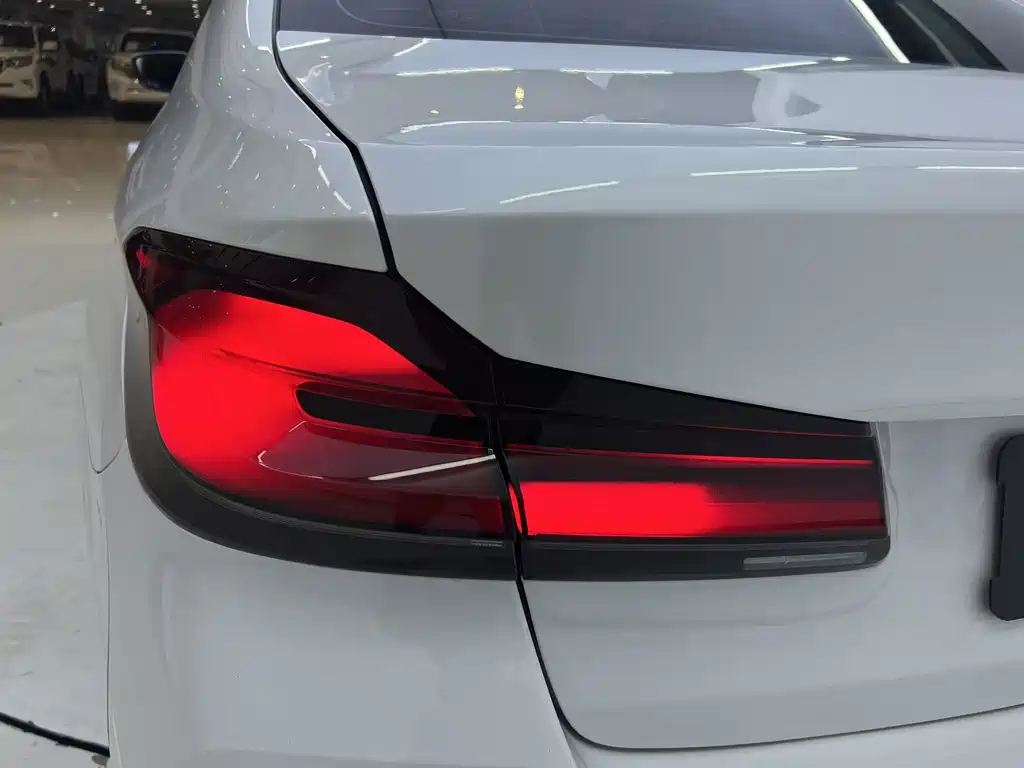 BMW 5 Series New Energy 2022