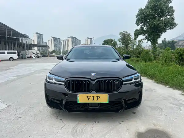 BMW 5 Series New Energy 2020