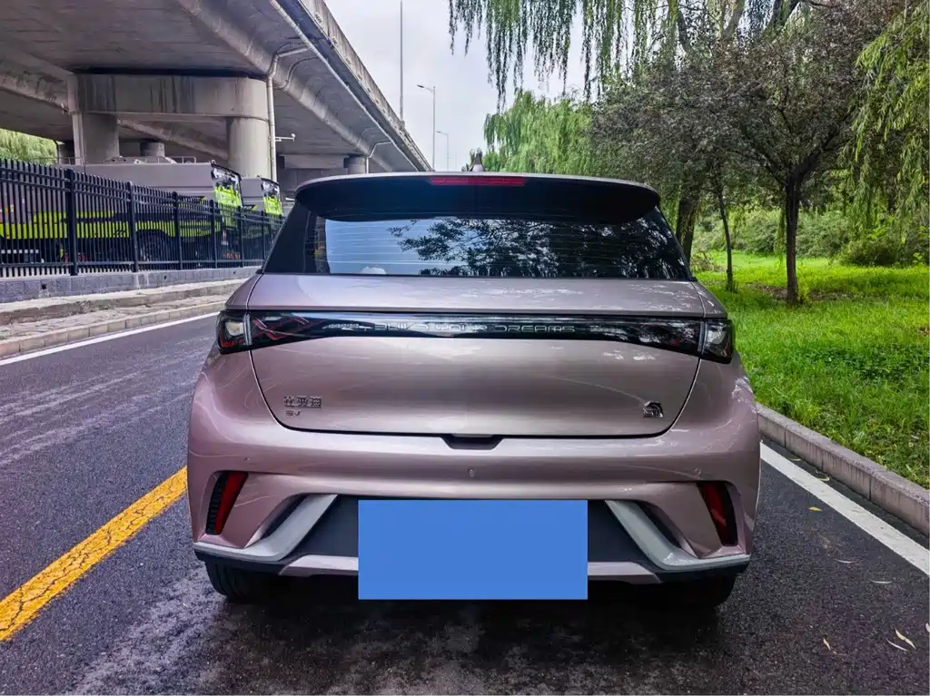 BYD Dolphin 2022