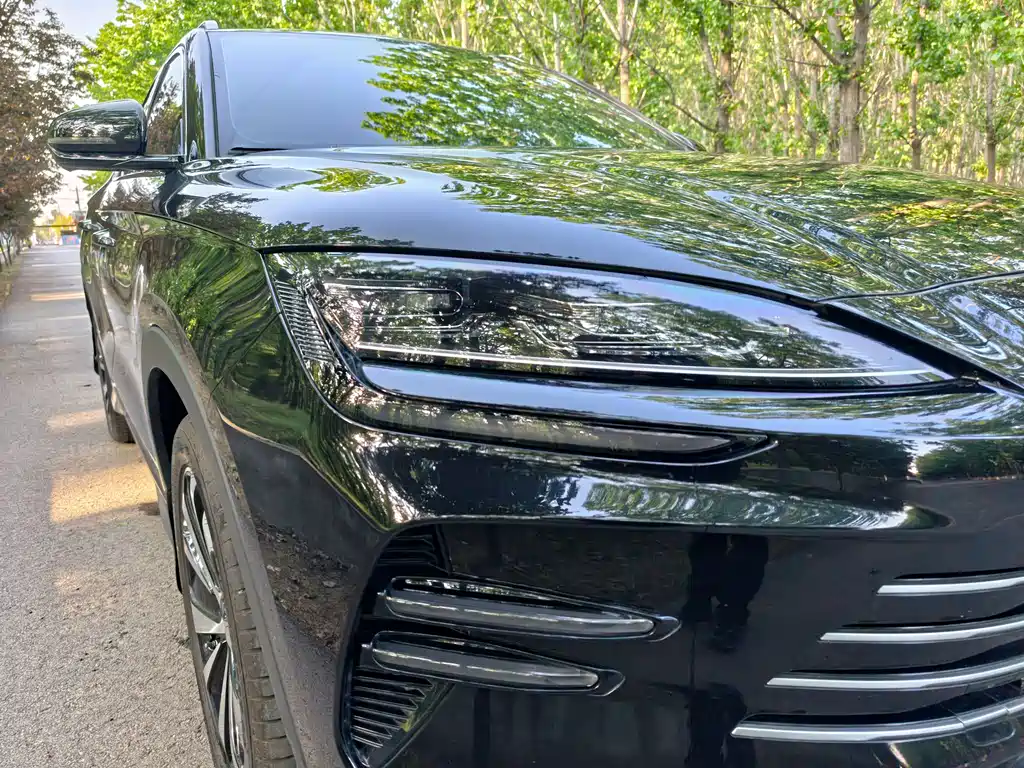 BYD PLUS New Energy 2024 — фото 15