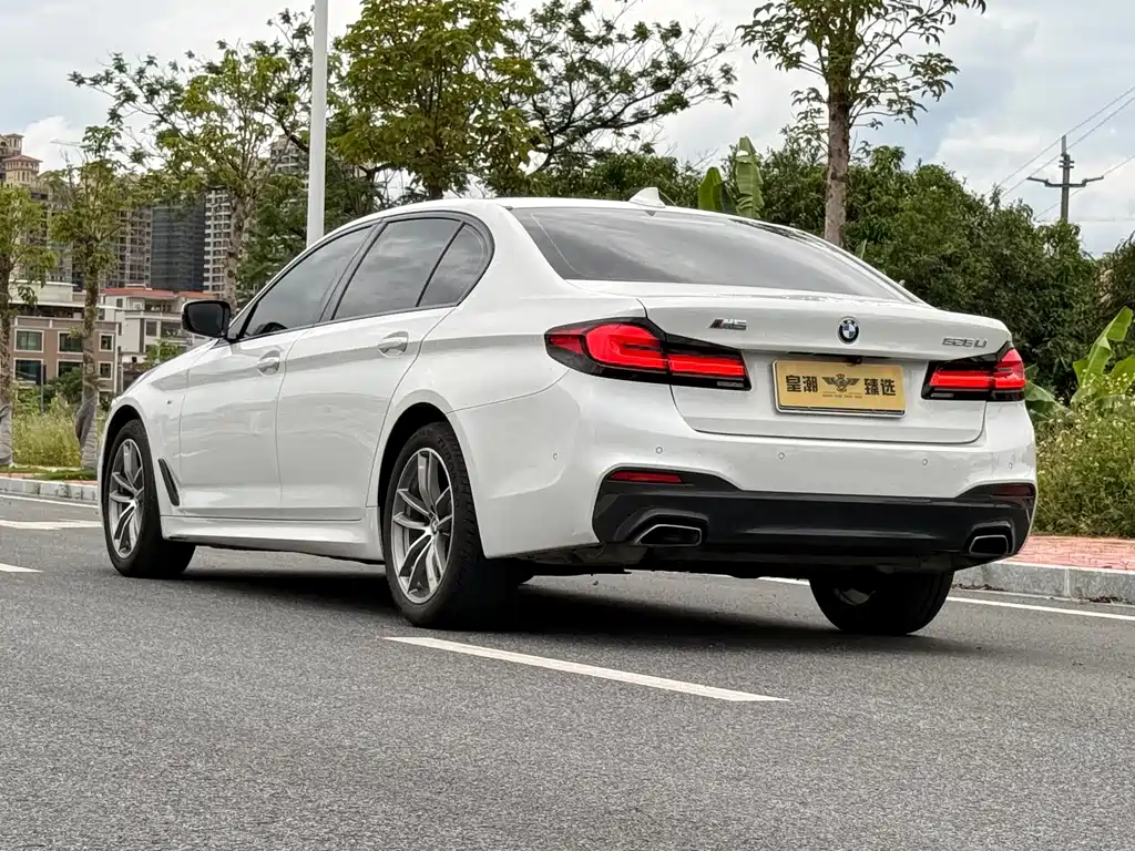 BMW 5 Series 2019 — фото 14