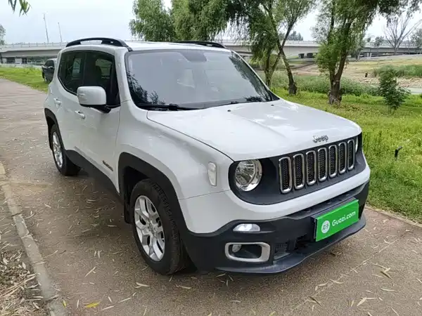 Jeep Freeman 2016