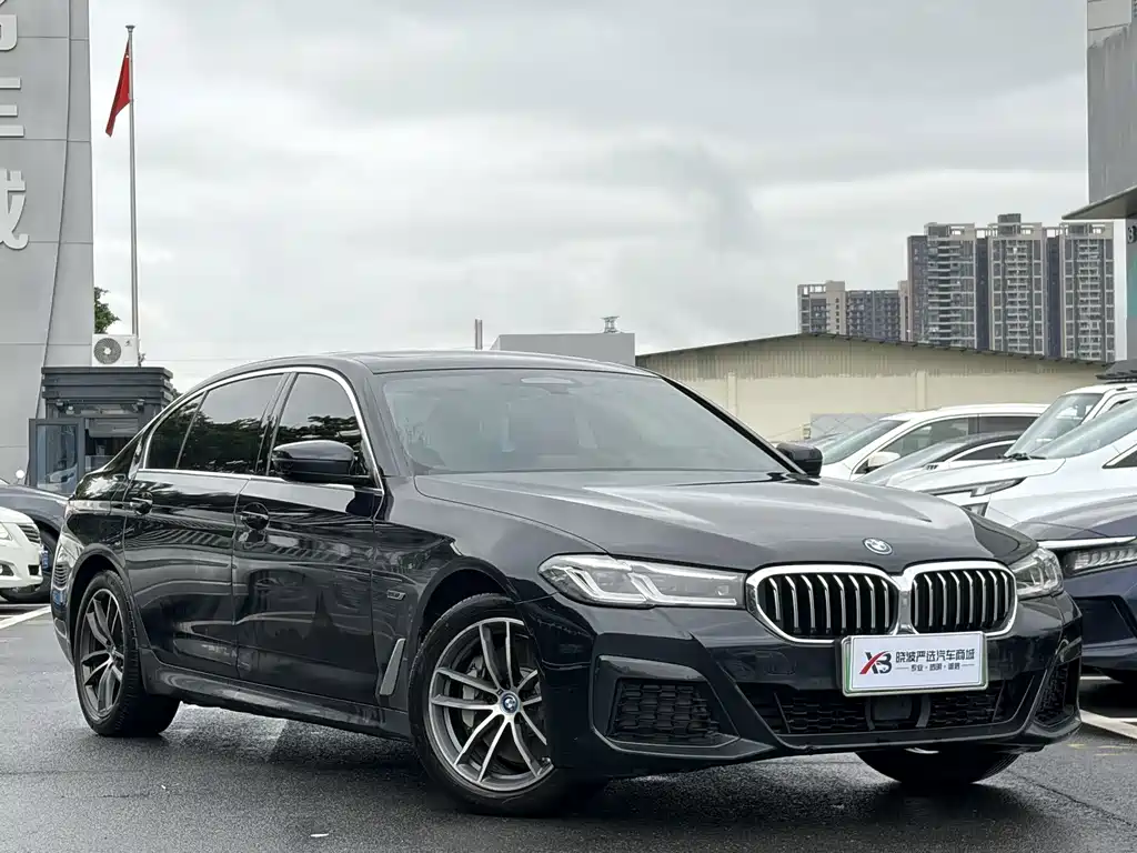 BMW 5 Series New Energy 2022
