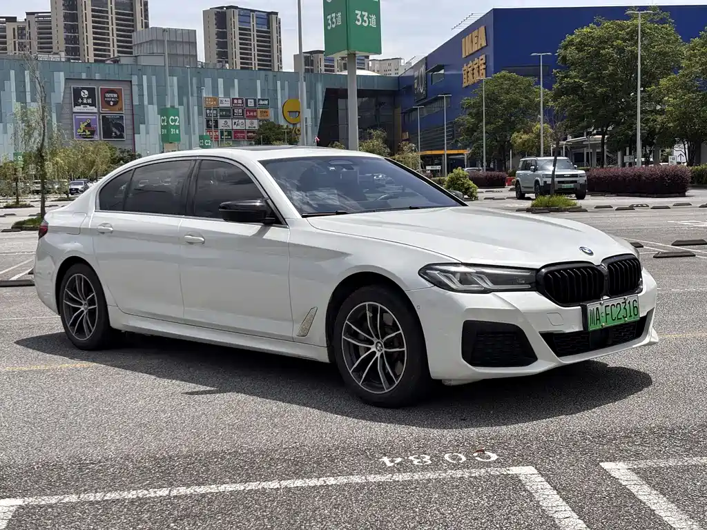 BMW 5 Series New Energy 2021