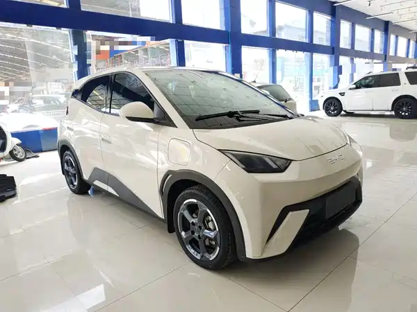 BYD Seagull 2024
