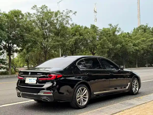 BMW 5 Series 2019