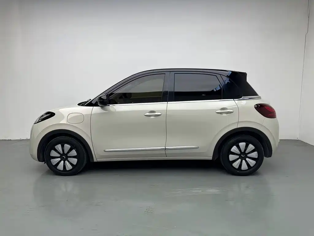 Wuling Bingo 2024