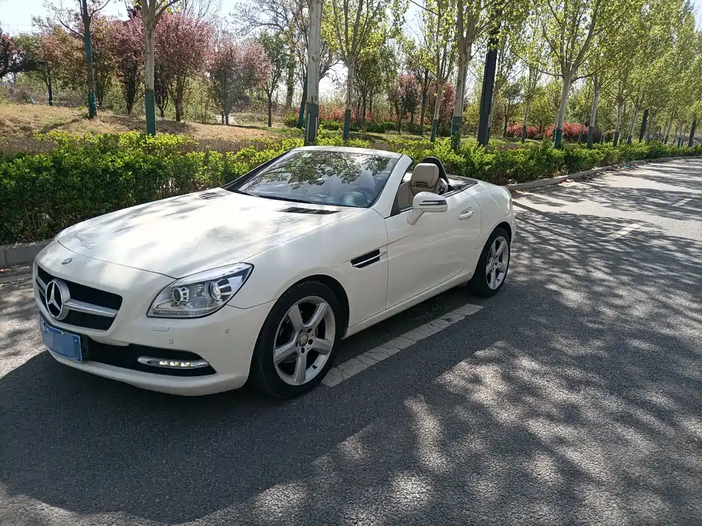 Mercedes-Benz SLK-Class 2014 — фото 1