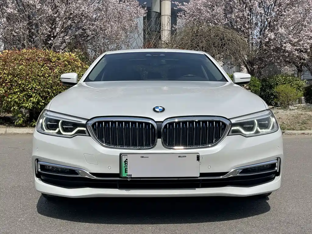 BMW 5 Series New Energy 2018 — фото 2