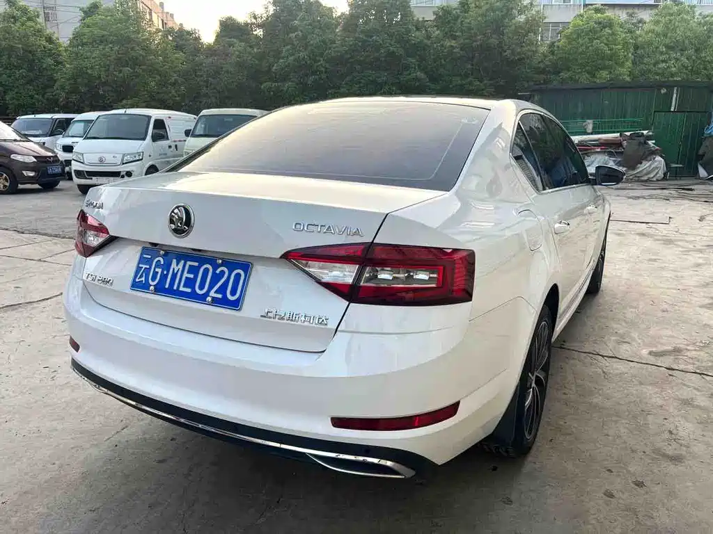 Skoda Octavia 2019 — фото 13