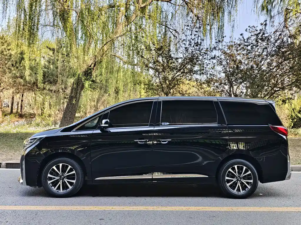 GAC Motor Trumpchi M8 2023 — фото 3