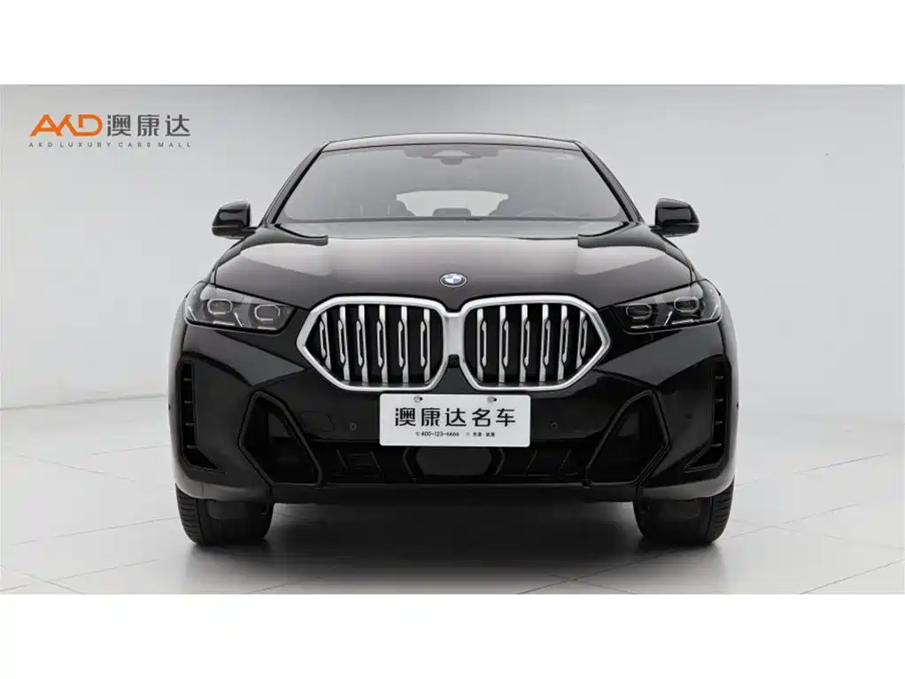 BMW X6 2024 — фото 2