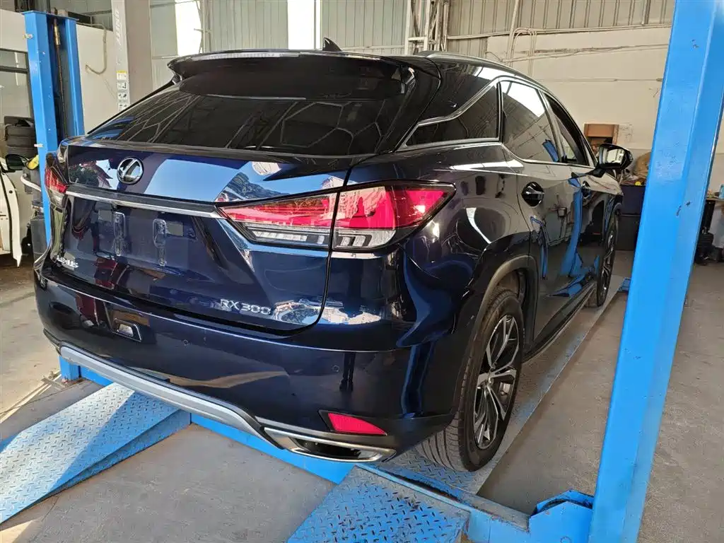 Lexus RX 2021 — фото 16