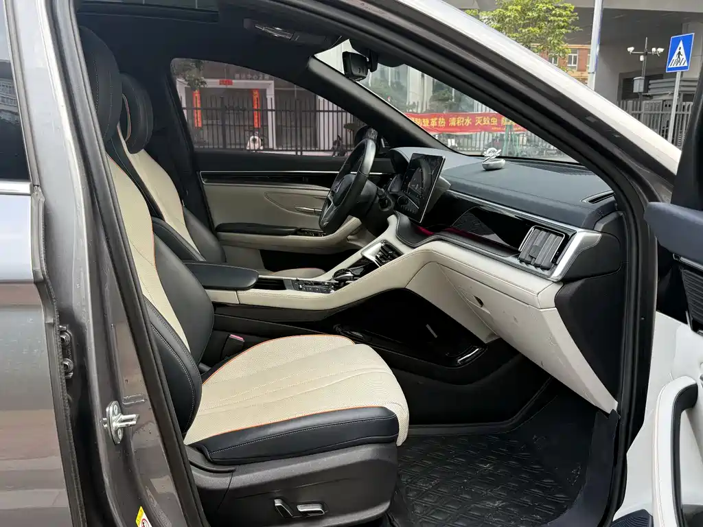 BYD PLUS New Energy 2022 — фото 19