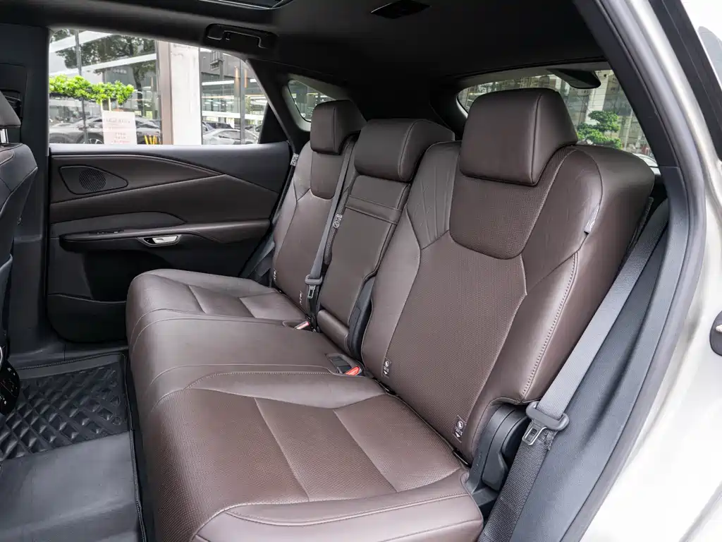 Lexus RX New Energy 2023 — фото 12