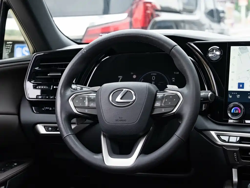 Lexus RX New Energy 2023 — фото 14