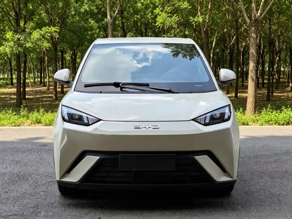 BYD Seagull 2025