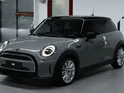 MINI MINI 2022