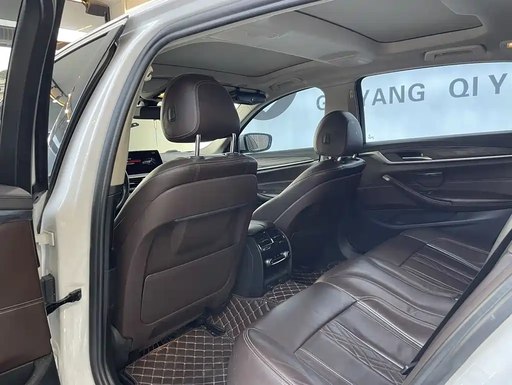 BMW 5 Series New Energy 2019