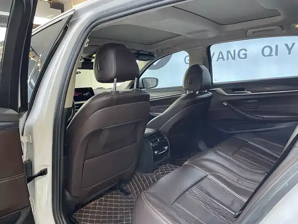 BMW 5 Series New Energy 2019