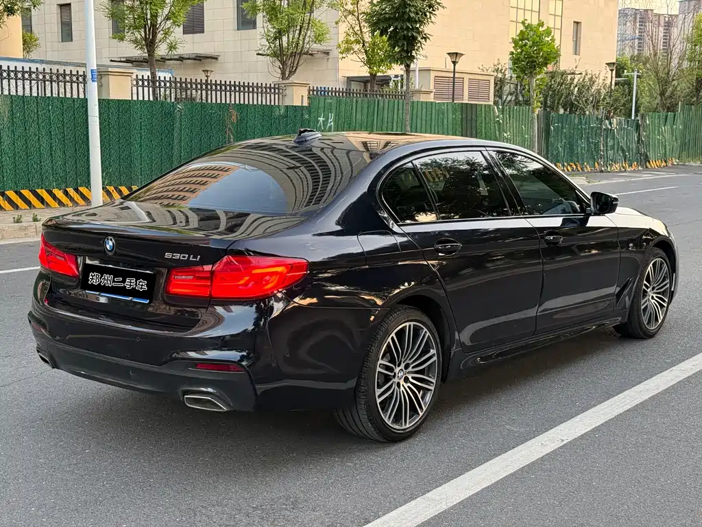 BMW 5 Series 2018 — фото 9