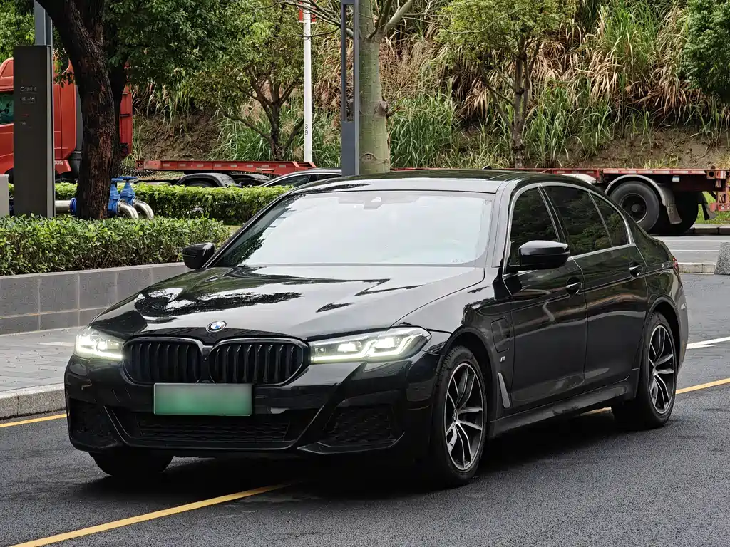 BMW 5 Series New Energy 2021 — фото 1