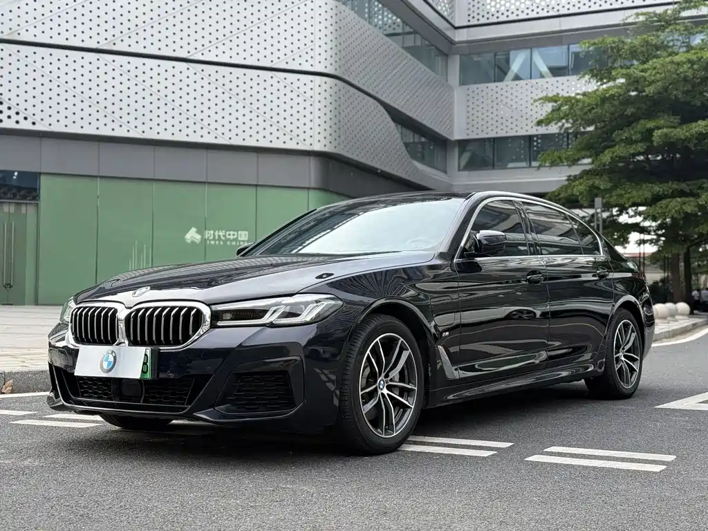 BMW 5 Series New Energy 2021 — фото 1