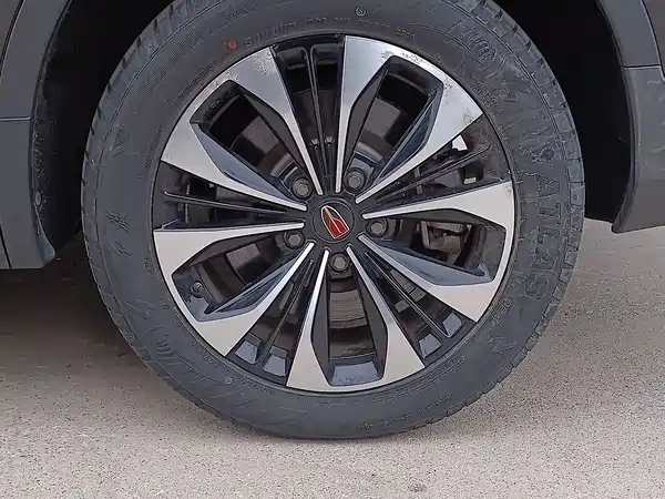 Hongqi HS7 2019