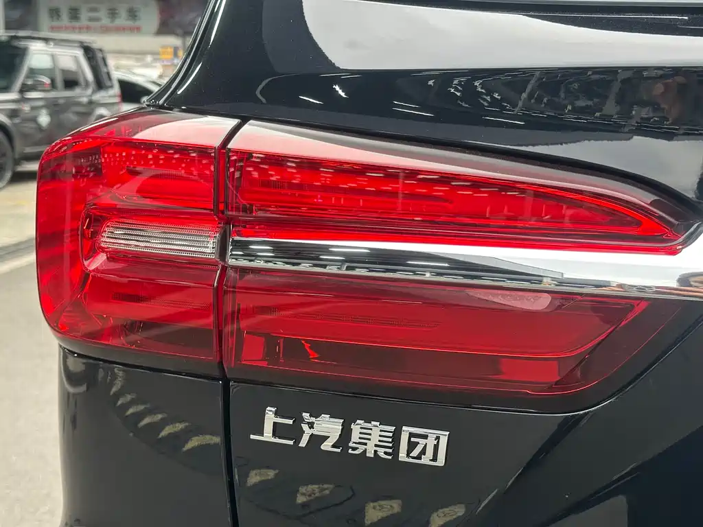 Roewe RX8 2022 — фото 14