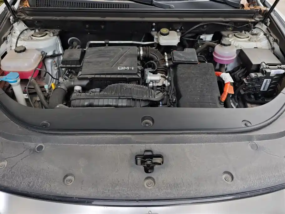BYD Pro New Energy 2024 — фото 10