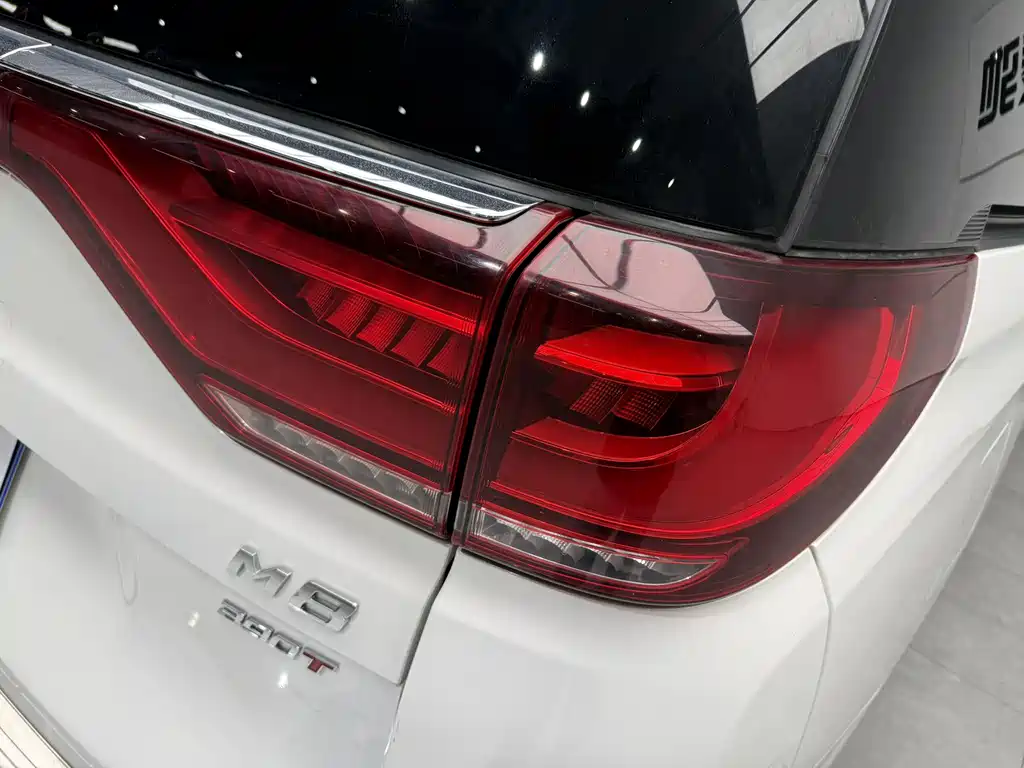 GAC Motor Trumpchi M8 2021 — фото 16