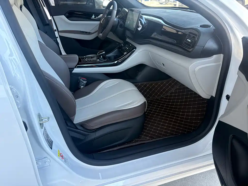 BYD Qin PLUS 2025 — фото 12