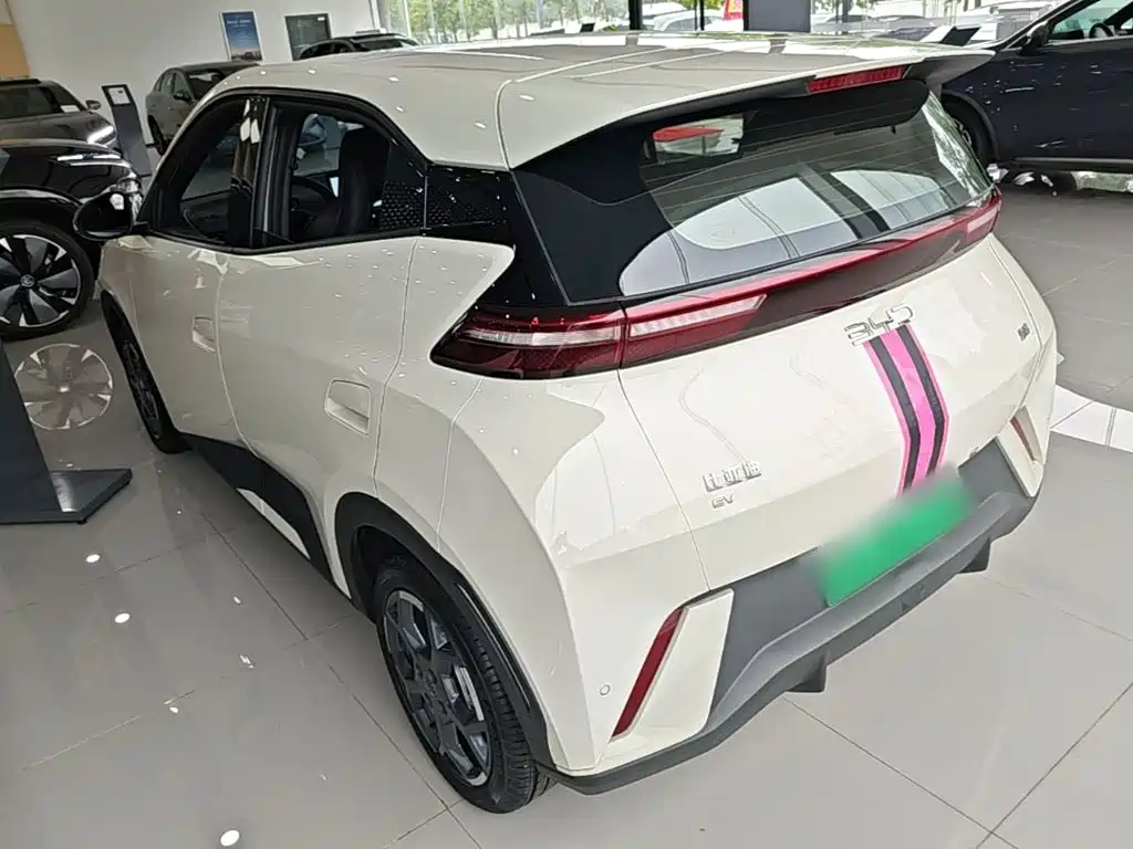BYD Seagull 2024