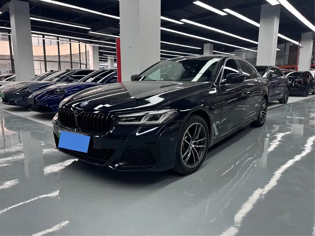 BMW 5 Series New Energy 2022
