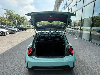 MINI MINI 2025