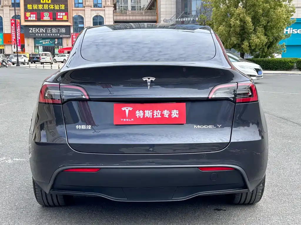 Tesla Model Y 2024 — фото 10