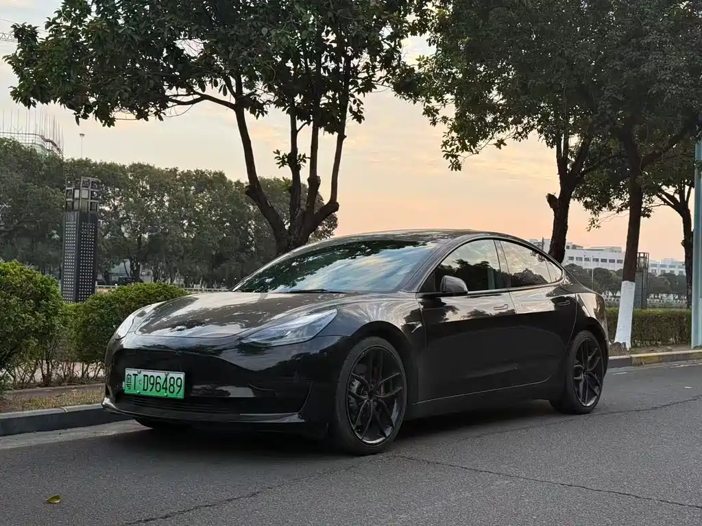 Tesla Model 3 2021 — фото 1