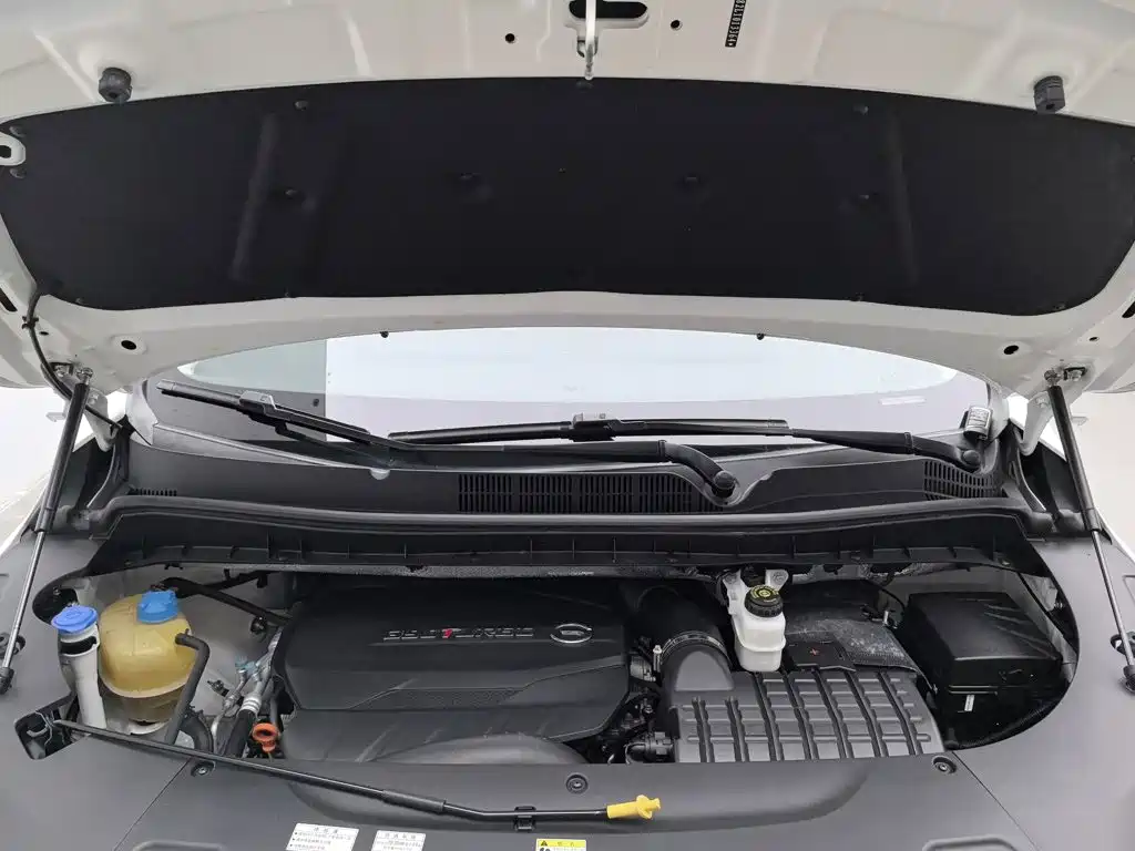 GAC Trumpchi M8 2020 — фото 6