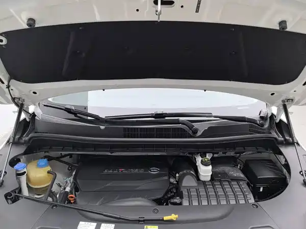 GAC Trumpchi M8 2020