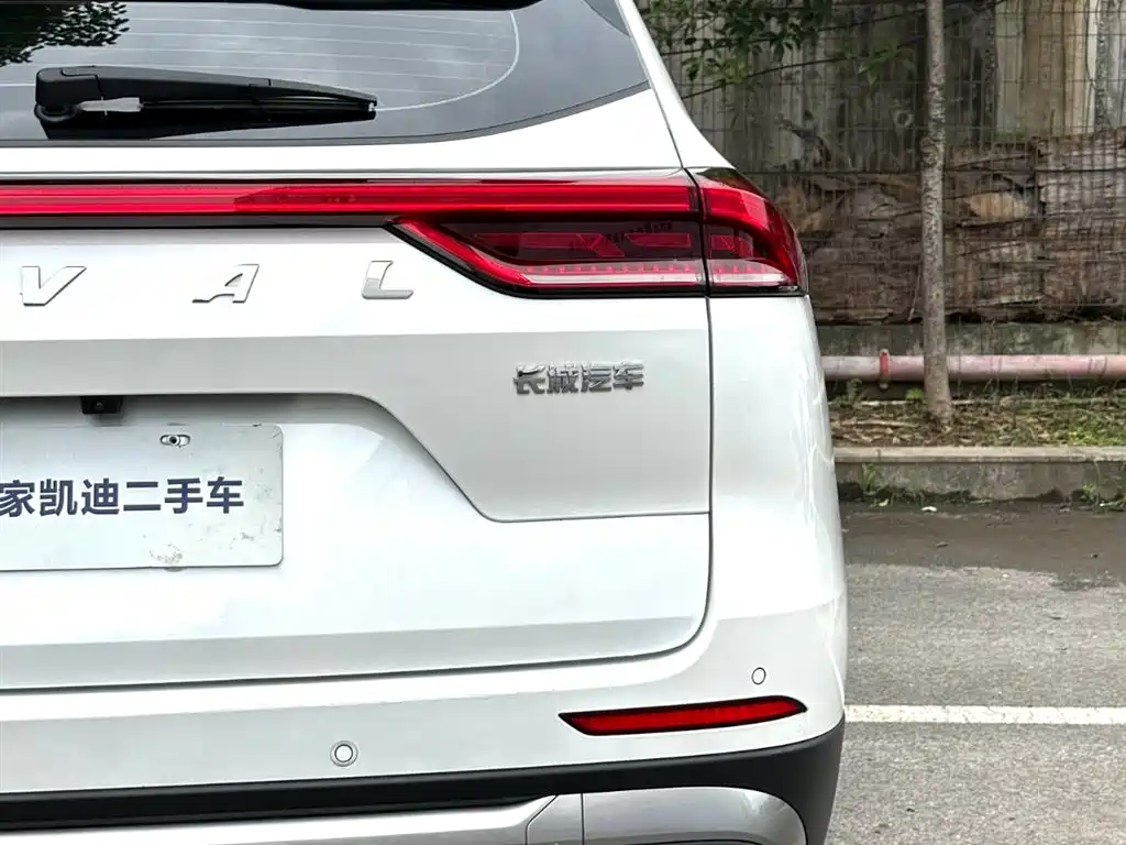 Haval H6 2021 — фото 16