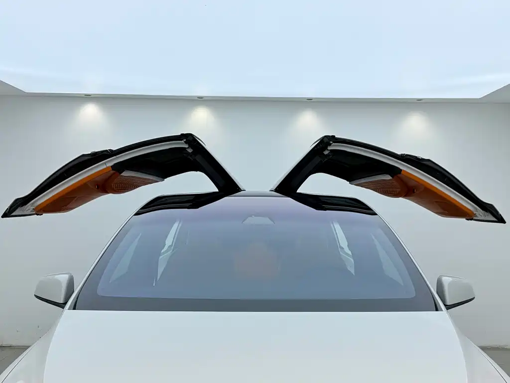 Tesla Model X 2020 — фото 4