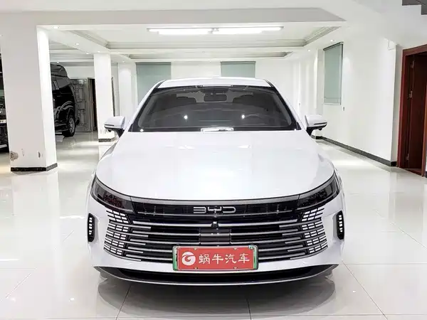 BYD Destroyer 05 2024
