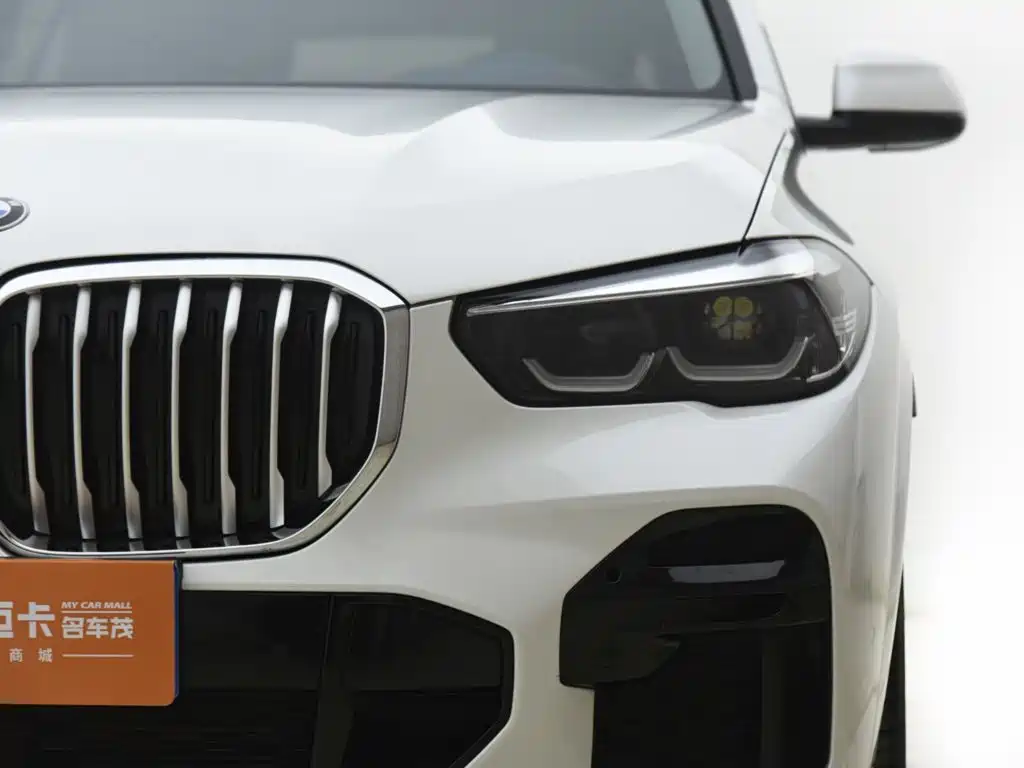 BMW X5 2021 — фото 13