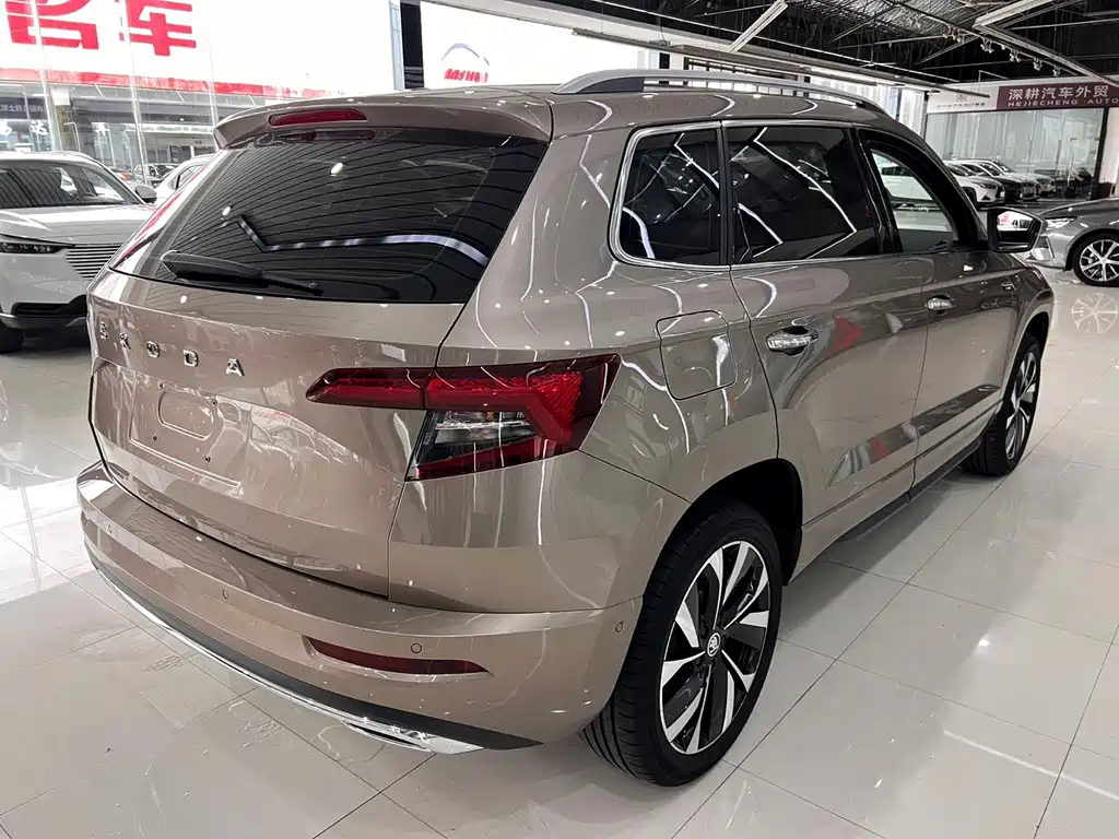 Skoda Karoq 2022 — фото 12