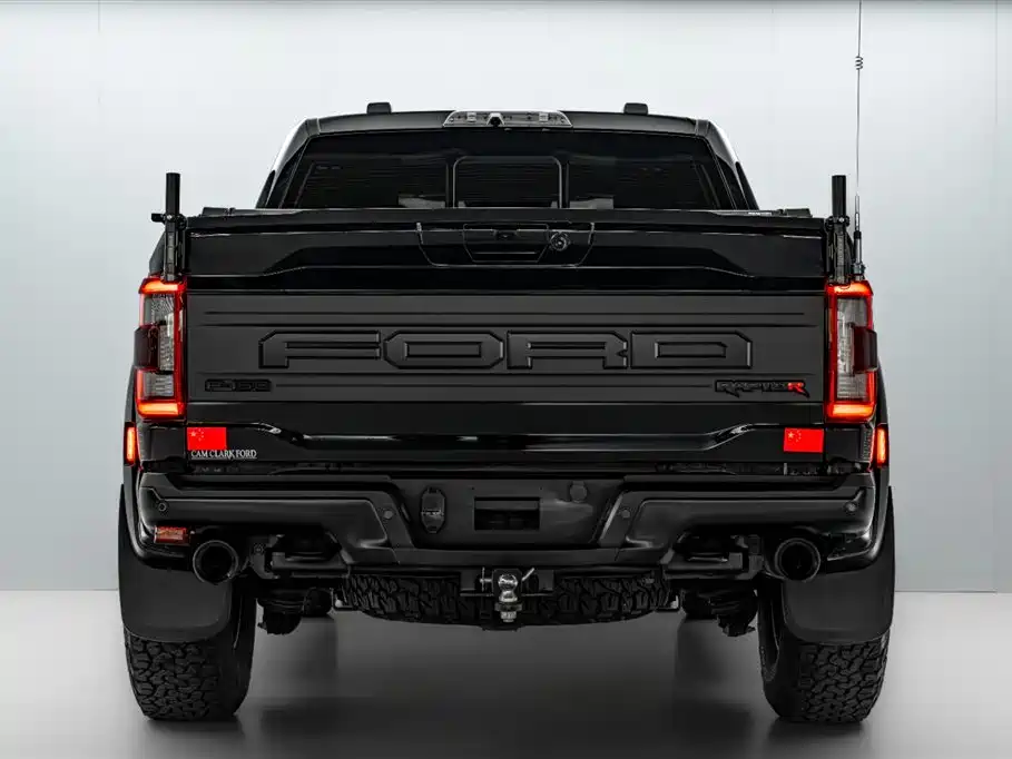 Ford F-150 Raptor 2024 — фото 6