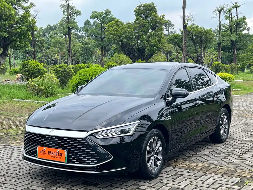BYD Qin PLUS 2024 — фото 1