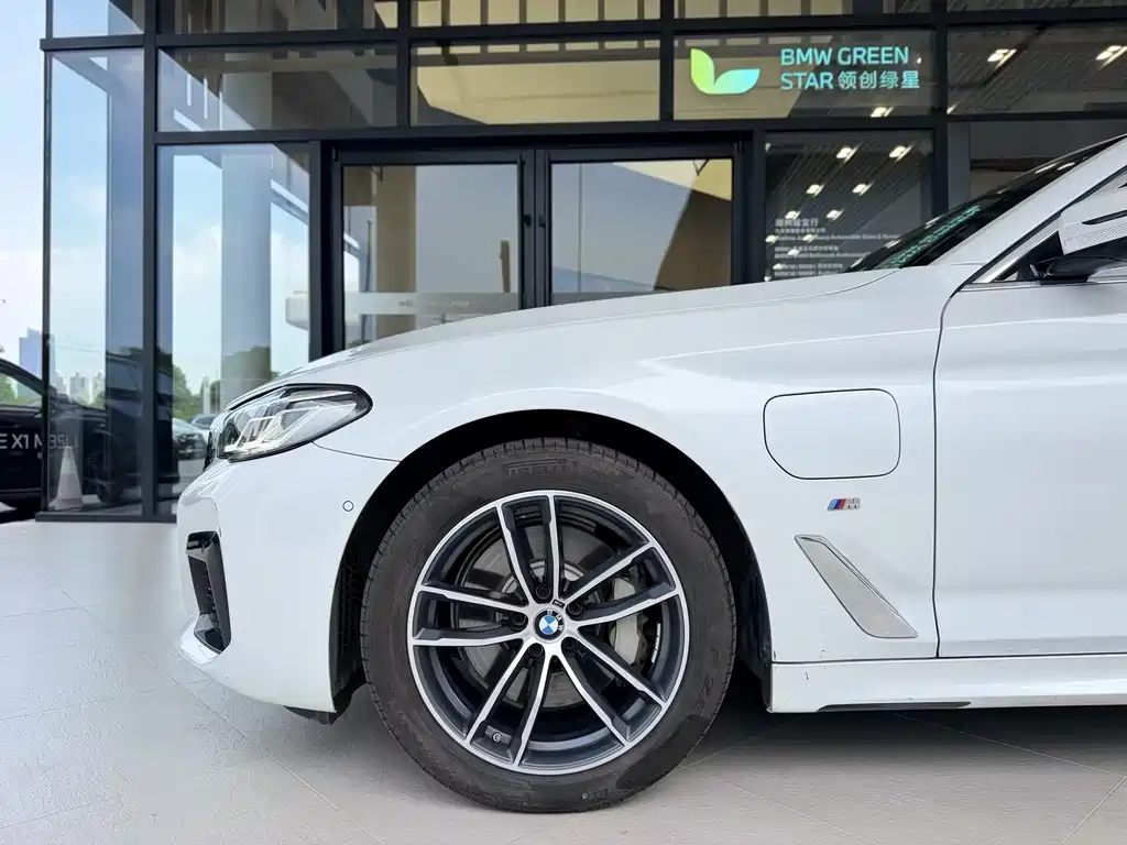 BMW 5 Series New Energy 2021