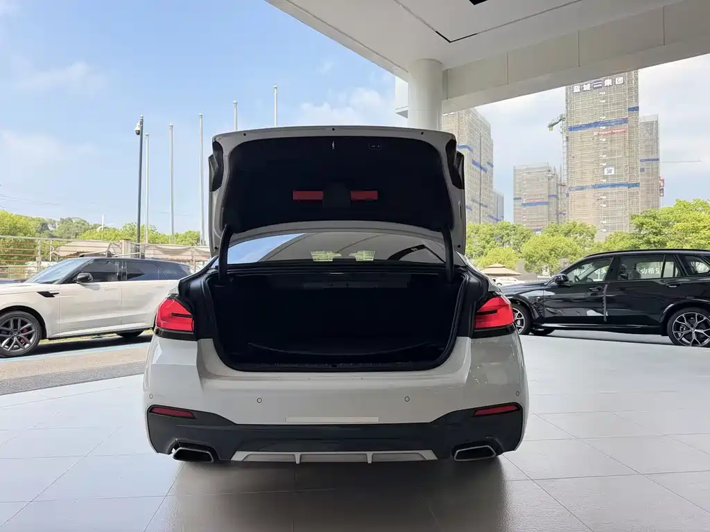BMW 5 Series New Energy 2021
