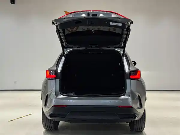Lexus NX 2022